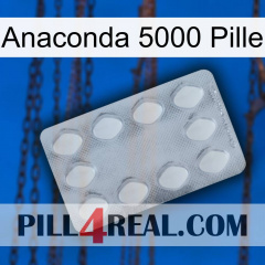 Anaconda 5000 Pill 16